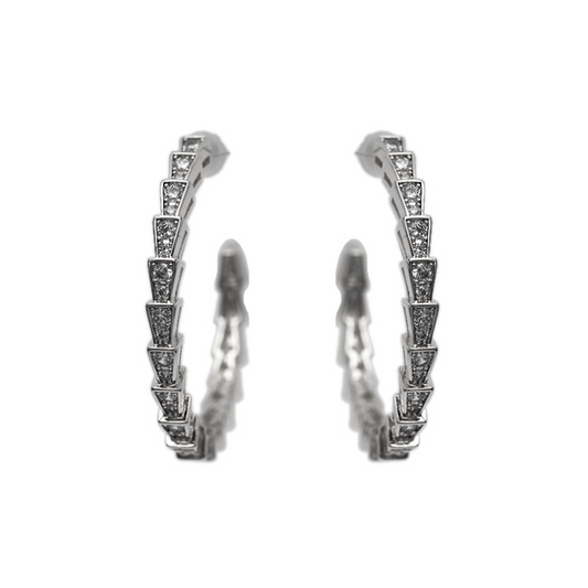 Silver Crystal Hoop Earrings-Hollywood Sensation®